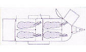 4 horse layout